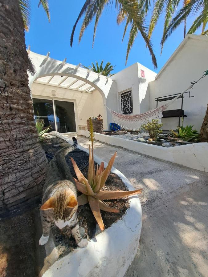 Palm Point Apartment Costa Calma Ngoại thất bức ảnh